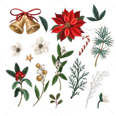 Christmas Botanical Plants Flowers and Bells Red Christmas Flower, Botanical Christmas, Paper Sunflowers, Botanical Plants, Wallpaper Print, Christmas Collage, Christmas Plants, Christmas Card Inspiration, Winter Illustration