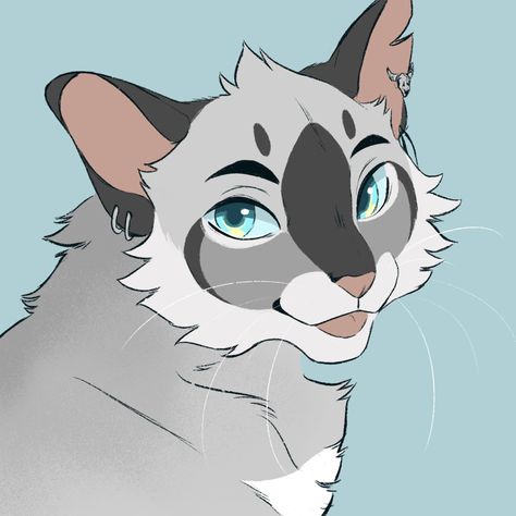 Warrior Cats, Cat Drawing, Chloe, Doodles, Instagram, Art