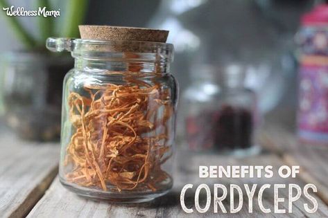 Cordyceps Mushrooms Benefits for Anti-Aging, Endurance Cordyceps Benefits, Mushrooms Benefits, Cordyceps Mushroom, Health Benefits Of Mushrooms, Mushroom Benefits, Wellness Mama, Boost Energy Naturally, Adaptogenic Herbs, Mushroom Coffee