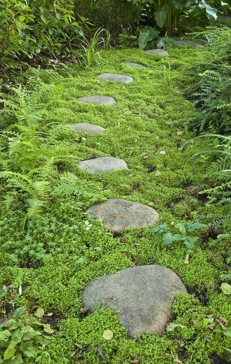 ✿ ᗰ๏§§ Gคгdƹภ ✿ Landscaping Inspiration, Garden Walkway, Garden Steps, Moss Garden, Stone Path, Woodland Garden, Garden Pathway, The Grass, Shade Garden