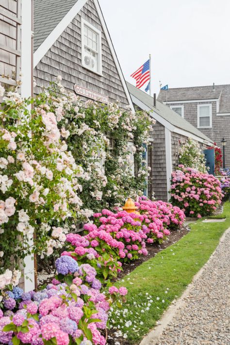 Mackenzie Horan, Cape Cod Aesthetic, Nantucket Summer, Nantucket Wedding, Design Darling, Nantucket Style, Backyard Movie Nights, Weekend Reading, Nantucket Island