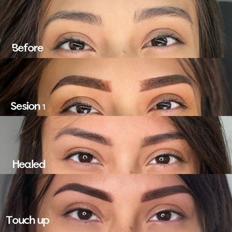 The EVOLUTION of POWDERED BROWS 🔥 Before ➡️ Right after first session ➡️ Healed after first session ➡️ Touch up 6 weeks later. To book TRAINING / APPOINTMENT-> https://beautyvibe.glossgenius.com Powder Brows Before And After, Ombré Eyebrows, Powdered Brows, Ombre Eyebrows, Powder Brows, Touch Up, Glow Up?, Enchanted, Eyebrows