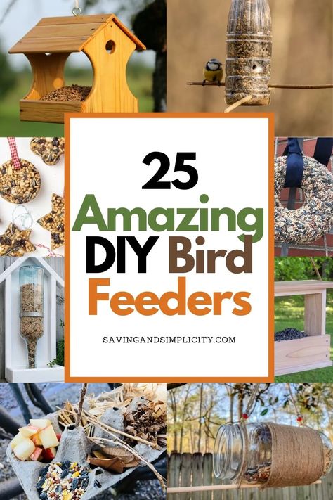 Bird Feeder Landscaping, Bird Feeders Craft, Bird Feeder Station Ideas, Bird Feeders For Kids, Bird Feeder Post, Bird Feeders For Kids To Make, Mason Jar Bird Feeders, Diy Hummingbird Feeder, Bird Feeder Station