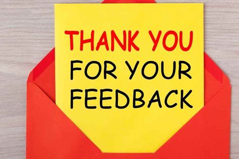 Feedback Quotes, Feedback Template, Feedback Email, Spicy Curry, Thank You Email, Book Proposal, Thank You Template, Thanking Someone, Work Email