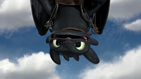 Chimuelo ♥  Cute Toothless Pic by CitoNocteDraconis.deviantart.com on @deviantART Toothless Funny, Toothless Tattoo, Toothless Wallpaper, Wallpaper Pc Hd, Cute Toothless, Httyd Toothless, Toothless And Stitch, Fun Fact Friday, Toothless Dragon