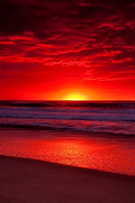 You could go to the same beach as everyone else OR you could go to an https://www.exquisitecoasts.com/ beach. You choose! #Beaches #bestbeachesintheworld #exquisitecoasts Dreamy Nature, Calming Nature, Clouds In The Sky, Red Sunset, Sun Set, Amazing Sunsets, School Children, Beautiful Sunrise, Sunset Beach