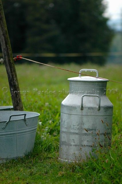 Country Life 097 | Jonny Pardoe | Flickr Sheep Field, Old Milk Cans, Deco Champetre, Country Lifestyle, Metal Containers, Country Scenes, Farms Living, Down On The Farm, Milk Cans