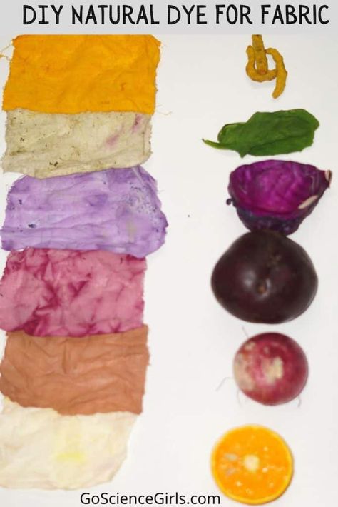 Check out the easy natural dyeing methods for fabric using vegetables and fruits. We used Turmeric, Beet, Cabbage, Onion & Orange Peels. Natural Fabric Dye Diy, Turmeric Dye, Ty Dye, Avocado Dyeing, Dyeing Tutorials, Natural Dye Fabric, Eco Dyeing, Natural Dyeing, Dye Fabric