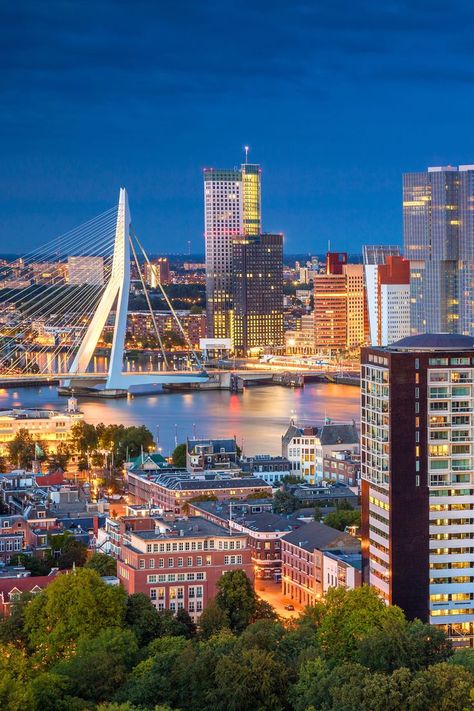 Top 10 Day Trips From Rotterdam, Netherlands Tiktok Selfie, Beautiful Restaurants, New Urbanism, Rotterdam Netherlands, Holiday Places, Netherlands Travel, World Cities, Dream City, Most Beautiful Cities