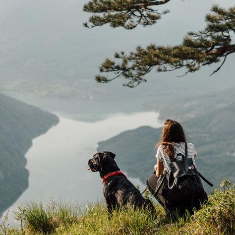 Adventures With Dogs, Dog Travel Aesthetic, Dog Hiking Photography, Trained Dog Aesthetic, Dog In Mountains, Dog Training Aesthetic, Dogs In Nature, Dog In Nature, People With Dogs