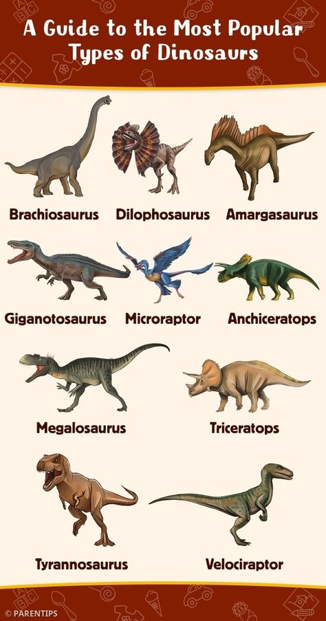 Types Of Dinosaurs Chart, Names Of Dinosaurs, Dinosaur Anatomy, Dinosaur Template, Types Of Dinosaurs, Dinosaur Types, Dinosaur Species, Dinosaur Facts, Dinosaur Train