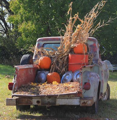 Fall Farm, Photo Cutout, Diy Photo Backdrop, Fall Family Photo Outfits, Pumpkin Photos, Fall Mini Sessions, Fall Session, Farm Photography, Pick Up Truck