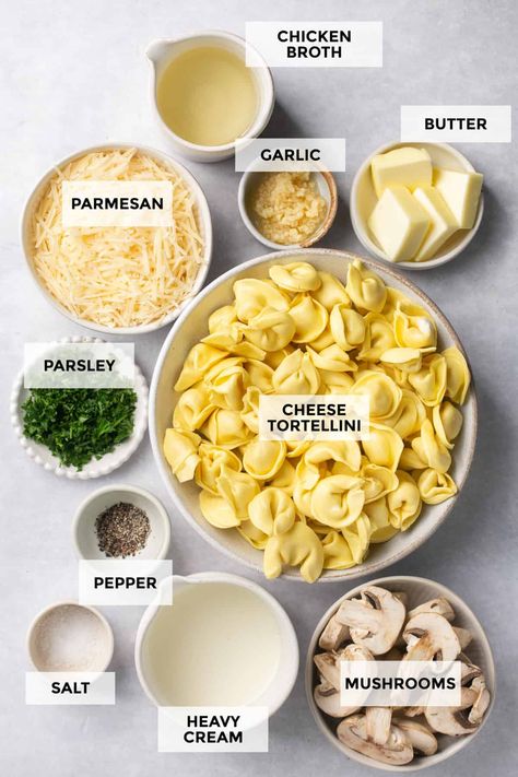 Cream Sauce Tortellini, Tortellini In White Sauce, Roasted Garlic Cream Tortellini, Mac And Cheese Tortellini, Mozzarella Tortellini Recipes, Costco Cheese Tortellini Recipes, Boursin Cheese Pasta Tortellini, Noodles And Company Roasted Garlic Cream Tortellini, Garlic Butter Tortellini