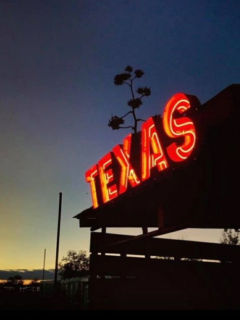 Texas Aesthetic Vintage, Jay Crownover, Texas Aesthetic, Ali Hazelwood, Texas Life, Vision Board Images, Cowboy Aesthetic, Texas Country, Western Life