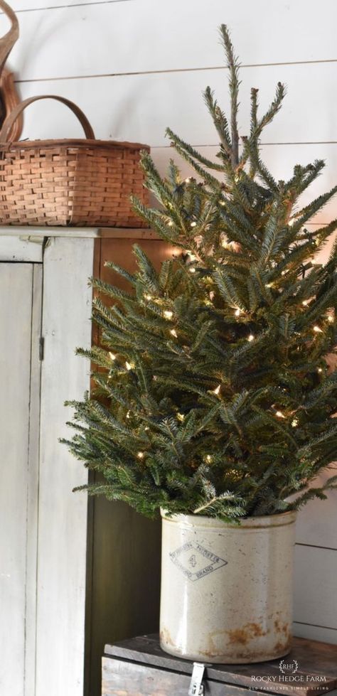 Natal Country, Natal Natural, Rustic Farmhouse Christmas, Small Christmas Tree, Farmhouse Christmas Tree, Country Christmas Decorations, Christmas Tablescape, Farmhouse Christmas Decor, Primitive Christmas