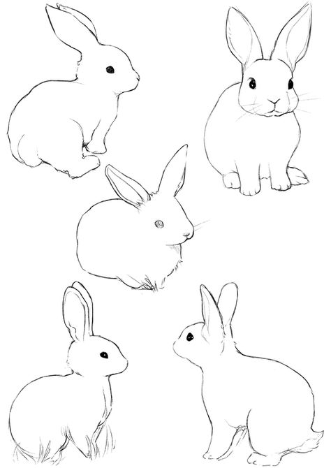 Rabbit Sketches, Rabbit Drawing Easy, Easy Bunny Drawing, Bunny Sketches, Sketches Drawing, Rabbit Drawing, Pencil Sketch Images, Rabbit Illustration, Bunny Painting