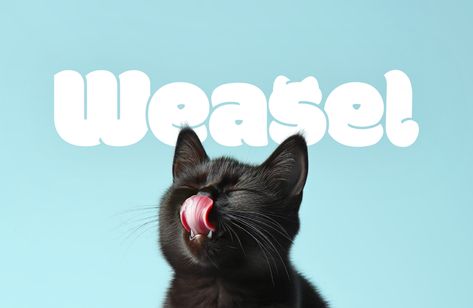 Weasel, Cats food Brand Identity :: Behance Food Brand Identity, Company Website Design, Pet Branding, Graphic Design Newspaper, Cats Food, Website Design Agency, Cat Food Brands, Graphic Design Jobs, Graphic Design School