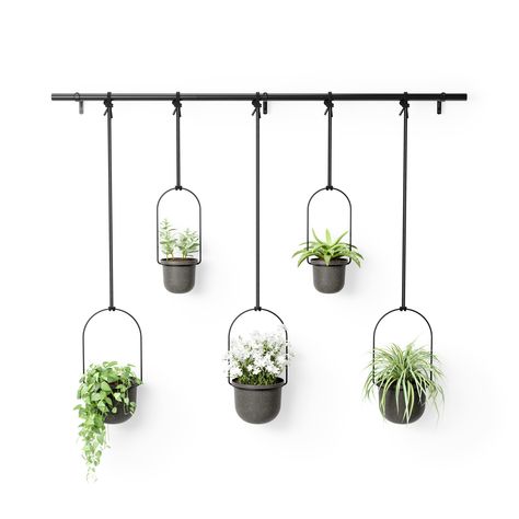 Hanging plant holder