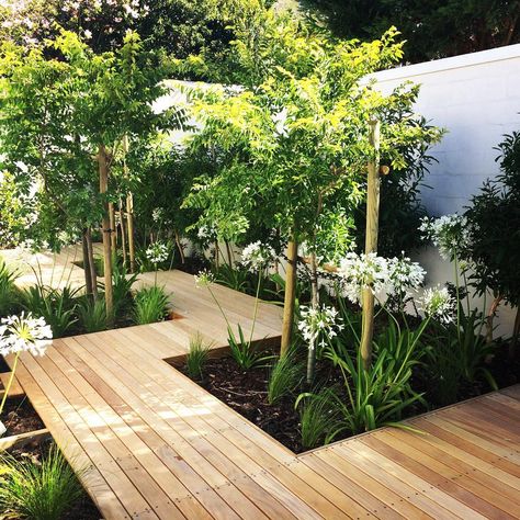 Decking ideas: 27 ways to transform your garden | Real Homes Decking Ideas, Narrow Garden, Wooden Deck, Back Garden Design, Garden Area, Contemporary Garden, Outdoor Gardens Design, Backyard Garden Design, Garden Landscape Design