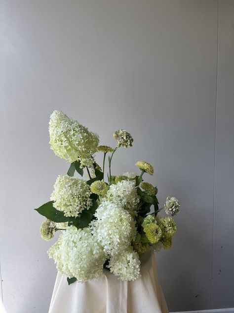 floral sculpture, still life. Auckland floral designer New Zealand, white and red floral arrangement, modern, wedding florist Auckland, Modern Wedding florals, White snowball hydrangea, green zinnia and carnation floral centrepiece arrangement Antique Green Hydrangea, Blue Green Hydrangea, Green And White Hydrangea Centerpiece, Modern Hydrangea Arrangements, Hydrangea Styling, Green Hydrangea Arrangements, Limelight Hydrangea Arrangement, Small Hydrangea Centerpiece, Hydrangea Sculpture