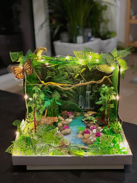 Rainforest Model Projects, Jungle Diaroma, Animal Diarama Ideas, Rainforest Habitat Shoebox Project, Rainforest Diaroma Ideas, Biome Boxes School Projects, Flamingo Habitat Diorama, Shoebox Habitat Projects, 3d Forest Project