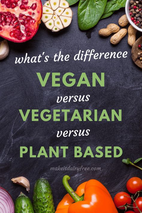 VEGAN, VEGETARIAN, PLANT BASED, WHAT’S THE DIFFERENCE? LET’S BREAK DOWN THE DIFFERENCES BETWEEN THESE AND MORE TO A LEVEL THAT EVERYONE CAN UNDERSTAND. Regional, Vegetarian Vs Vegan Facts, Plant Based Vs Vegan, Vegan Vs Vegetarian Facts, Difference Between Vegan And Vegetarian, Vegan Spice Cake, Vegan Vs Vegetarian, Vegetarian Vs Vegan, Vegetarian Facts