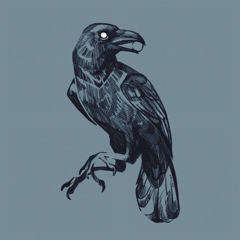 Crows Drawing, Crow Tattoo Design, Crow Tattoo, Crow Art, Raven Art, Arte Inspo, Animal Sketches, Bird Drawings, Kraken