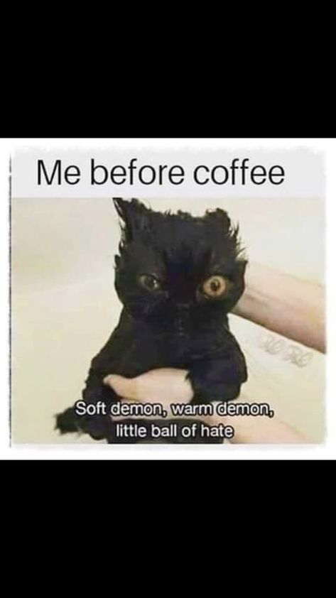 Funny Work Quotes Office, Kaffe Humor, Funny Work Quotes, Morning Coffee Funny, Coffee Jokes, Work Quotes Funny, Funny Work, Odaiba, Cat Coffee