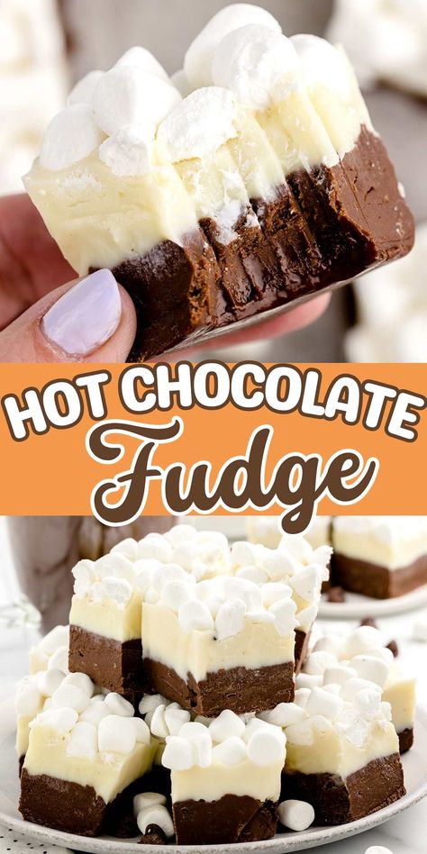 Fudge With Cocoa Powder, Best Chocolate Fudge, Hot Cocoa Fudge, Easy 2 Ingredient Fudge, Gourmet Fudge Recipes, Best Fudge, Thanksgiving Fudge, Fudge Recipes Easy Condensed Milk, Christmas Fudge Recipes