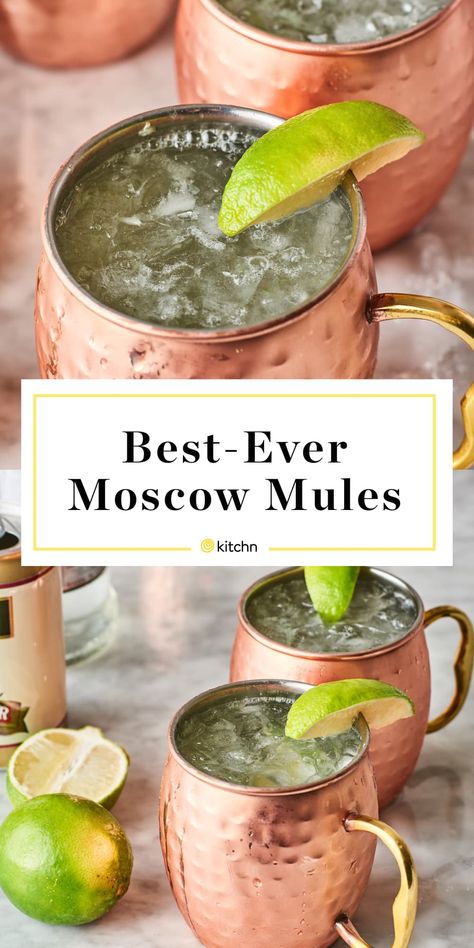 Moscow Mule Drink Recipes, Mule Cocktails, Best Moscow Mule, Moscow Mule Drink, Moscow Mules, Moscow Mule Recipe, Coctails Recipes, Mule Recipe, Boozy Drinks