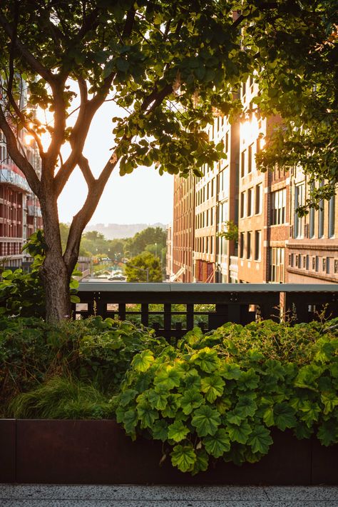 City During The Day, High Line New York Photography, Background Reference Photo City, Elevated Railway, High Line New York, New York High Line, City Street View, Joe Thomas, Nature City