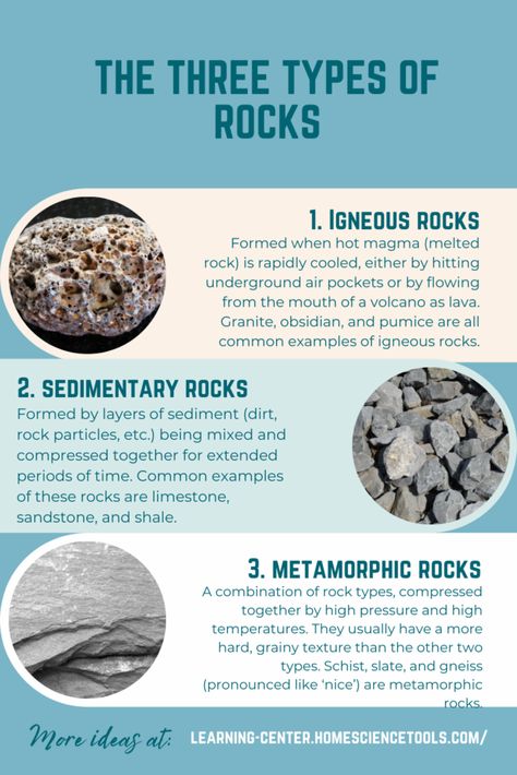 Environmental Science Activities, Sedimentary Rock Formation, Earth Science Projects, Types Of Science, Types Of Rocks, Earth Science Lessons, Rock Cycle, Physical Geography, 8th Grade Science