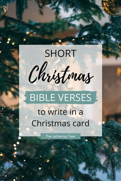 Christian Christmas Greetings, Jesus In Christmas, Holiday Bible Verses, What To Write In A Bible As A Gift, Christmas Quotes Inspirational Faith, What To Write On Christmas Cards, Christian Christmas Verses, Scripture Christmas, Nativity Bible Verses