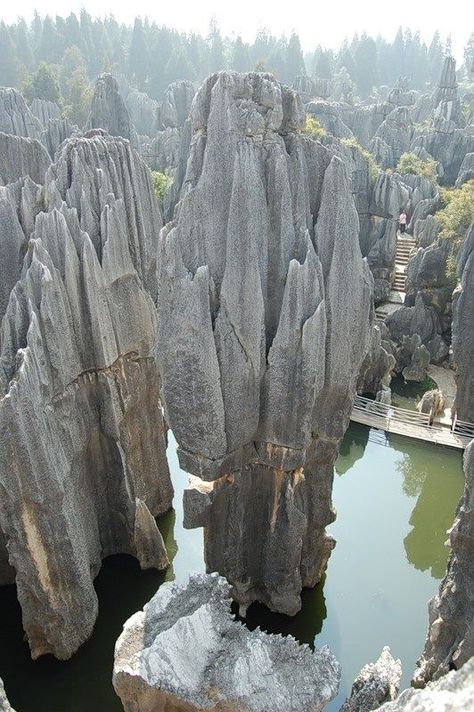 Stone Forest, Halong Bay, Palawan, China Travel, Rock Formations, A Bridge, Hangzhou, The Stone, Mongolia