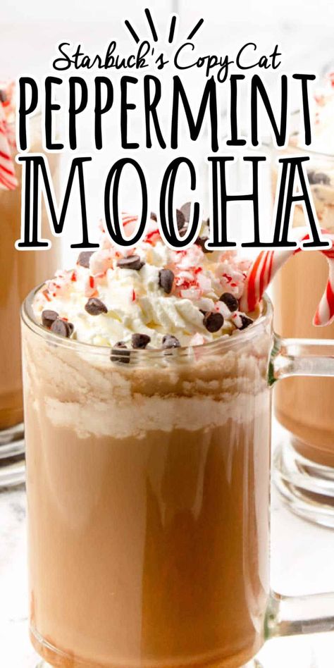 I love coffee and holiday flavors, but I don't want to spend a ton of money. That's why I started making my own Homemade Peppermint Mocha with ingredients from the grocery store, and no fake coffee creamer. It was surprisingly easy! Once you try this recipe at home, you will always keep the recipe close by. Mocha Coffee Creamer Recipe, Peppermint Coffee Creamer, Ninja Coffee Bar Recipes, Fake Coffee, Homemade Peppermint Mocha, Peppermint Mocha Creamer, Mocha Creamer, Coffee Breakfast Smoothie, Peppermint Mocha Recipe