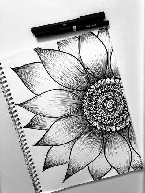 Drawing Images Pencil, Easy Pencil Drawing, Pencil Drawing Inspiration, Photo Draw, Sketch Beautiful, Draw Music, Doddle Art, Pencil Drawing Images, Pen Art Work