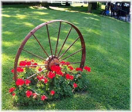 Wagon wheel with Geraniums Colorful Setting, Wagon Wheel Decor, Country Garden Decor, Wagon Wheels, Wheel Decor, Red Geraniums, Spring Decor Diy, Spring Decoration, Garden Yard Ideas