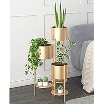 Gold Flower Pot, Flower Pot Stand, Metal Flower Pots, Vase Transparent, Corner Plant, Support Pour Plante, Indoor Flower Pots, Modern Plant Stand, Plant Stands Outdoor