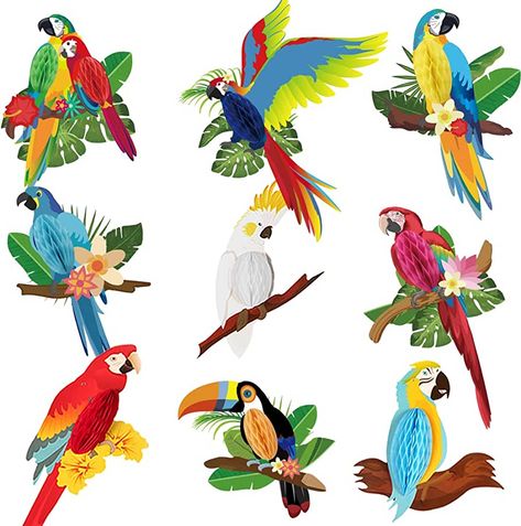 9Pieces Parrot Honeycomb Tropical Hawaiian Parrot Party Hanging DIY Decoration Bird Theme Home Classroom Decorations : Amazon.com.au: Toys & Games Charm Party, Hawaiian Summer, Tissue Pom Poms, Home Classroom, Honeycomb Decorations, Hanging Diy, Paper Cutouts, Bird Party, Wooden Wine Boxes