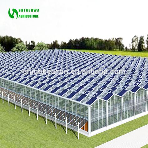 Passive Solar Greenhouse, Greenhouse Farming, Aquaponics Greenhouse, Greenhouses For Sale, Solar Greenhouse, Commercial Greenhouse, Indoor Farming, Best Greenhouse, Solar Energy Projects