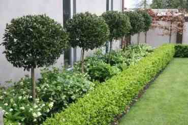 17-35 Moderne Have, Garden Landscaping Ideas, Funny Vine, Garden Hedges, Front Garden Design, Front Yard Design, Front Landscaping, Modern Garden Design, Have Inspiration