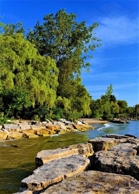 Travel world Lake Ontario Canada, Caroline Abbott, Gull Lake, Biblical Paintings, Coastal Country, Green Houses, Lake Photography, Small Lake, Lake Beach