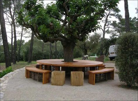 Round Bench Seating Outdoor, Table Around Tree Trunk, Round Bench Around Tree, Bar Around Tree, Deck Around Tree Ideas, Table Around Tree, Under Tree Seating Area, Around Tree Ideas, Around Tree Bench