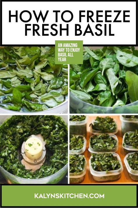 This post will show you How to Freeze Basil, and frozen basil is a wonderful thing to have in the freezer when basil is out of season! I've been freezing basil for years, so I'll also give you some recipe suggestions that can work with frozen basil. [found on KalynsKitchen.com] #HowToFreezeBasil #FreezingBasil