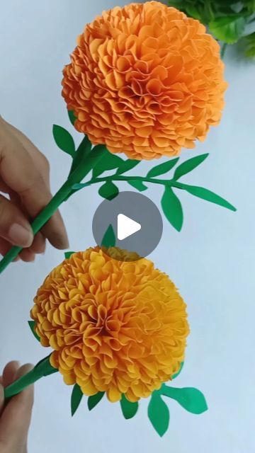 Diy Paper Marigold Flower, Color Paper Flowers, Marigold Flower Paper Craft, How To Make Paper Marigold Flowers, Marigold Diy Paper Flowers, Diy Color Paper Crafts, Marigold Paper Flower, Marigold Paper Flowers Diy, How To Make Marigold Paper Flowers