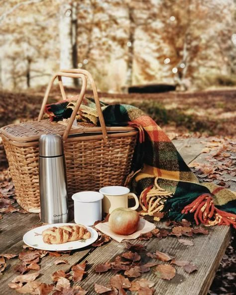 Fall Themed Picnic, Autumn Picnic Ideas, Autumn Picnic Aesthetic, Fall Picnic Aesthetic, Fall Picnic Photoshoot, Fall Picnic Food Ideas, Fall Picnics, Fall Picnic Ideas, Fall Picnic Food