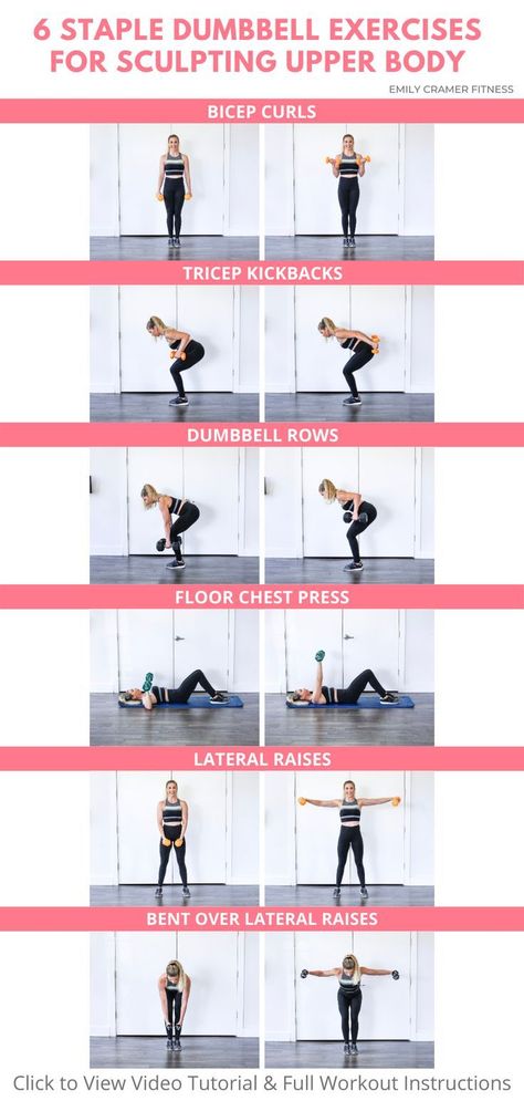 Upper Body Weight Workout, Weight Lifting At Home, Weightlifting For Beginners, Upper Body Workout Gym, Upper Body Strength Workout, Upper Body Dumbbell Workout, Upper Body Workout Routine, Weights Workout For Women, Body Workout Routine