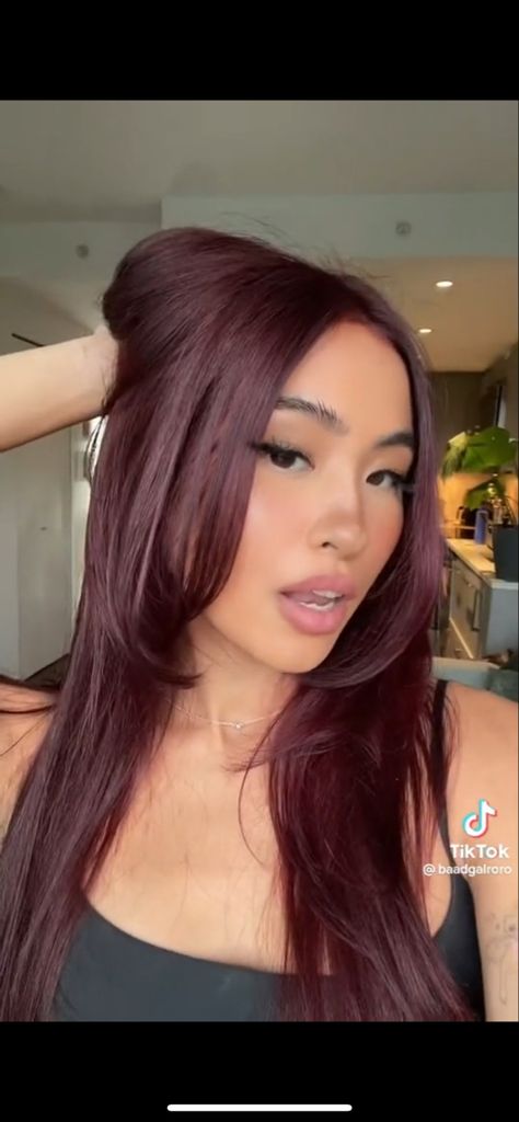 Burgundy Hair On Brunette, Skunk Strip Straight Hair, Natural Wine Red Hair, Burgundy Hair Olive Skin, Dark Wine Colored Hair, Dark Hair Color Ideas For Brunettes Red, Sangria Red Hair, Black Cherry Hair Color Asian, Dark Red Hair On Asian