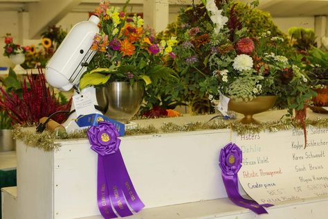 County Fair Flower Arrangements, Food Festivals Event, Showing Livestock, Carnival Rides, Event Video, The Fair, Fun Events, Food Festival, Show Horses