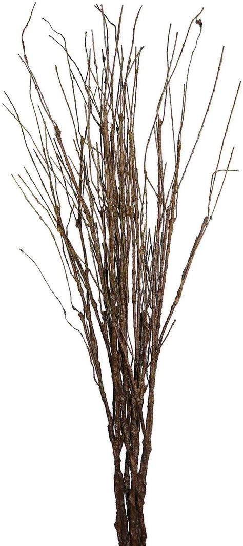 Amazon.com: MISSWARM 10 pcs Artificial Green Twig Curly Willow Branch Spray 29.5" Artificial Branches Floral Home Decor for Home Office Party Hotel Restaurant Patio or Yard Decoration: Home & Kitchen Curly Willow Branches, Tall Glass Vase, Artificial Branches, Party Hotel, Twig Branch, Office Party Decorations, Restaurant Patio, Curly Willow, Birch Branches